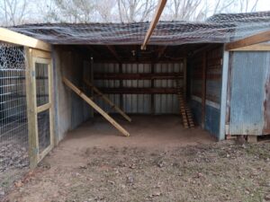 chicken coop